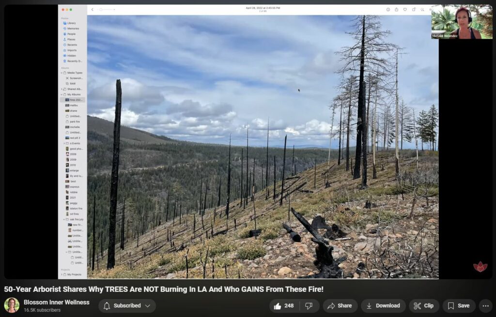 What a REAL FOREST FIRE Looks Like versus A DEW Driven Wildphyre